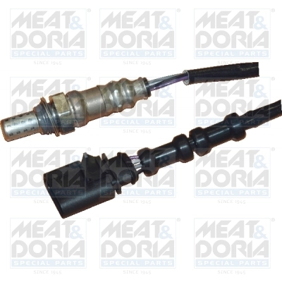 Oxygen Sensor